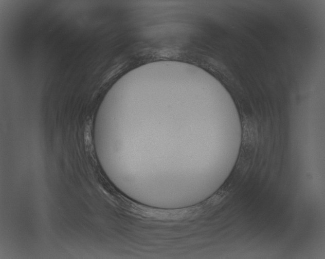 X0000052960032200507080907