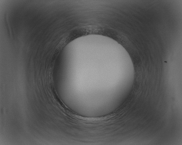 X0000052960034200507080907