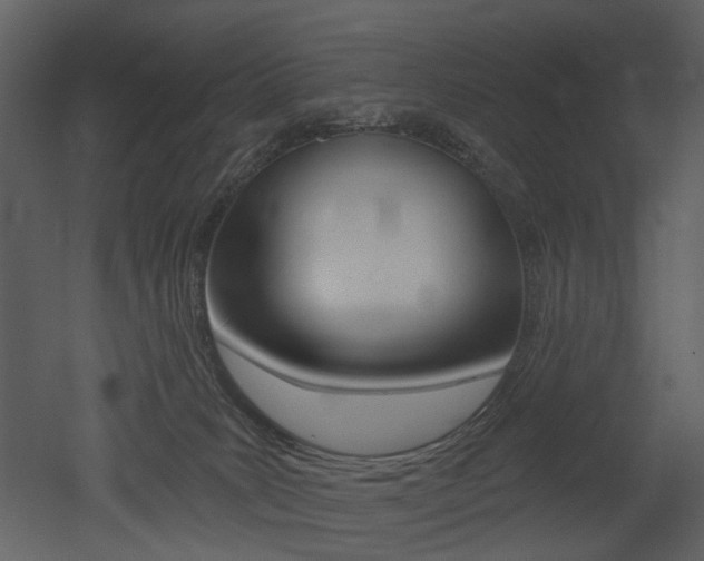 X0000052960035200507080907