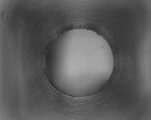 X0000052960038200507080907