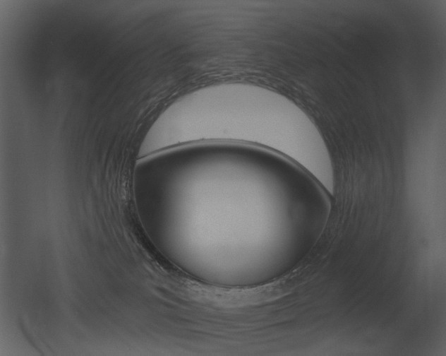 X0000052960039200507080907