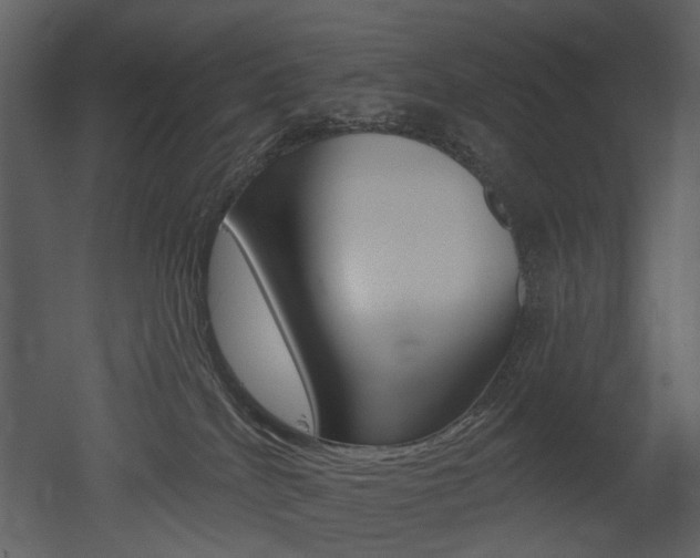 X0000052960040200507080907