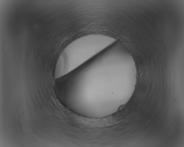 X0000052960042200507080907