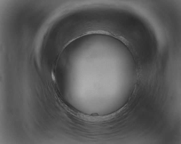 X0000052960047200507080907