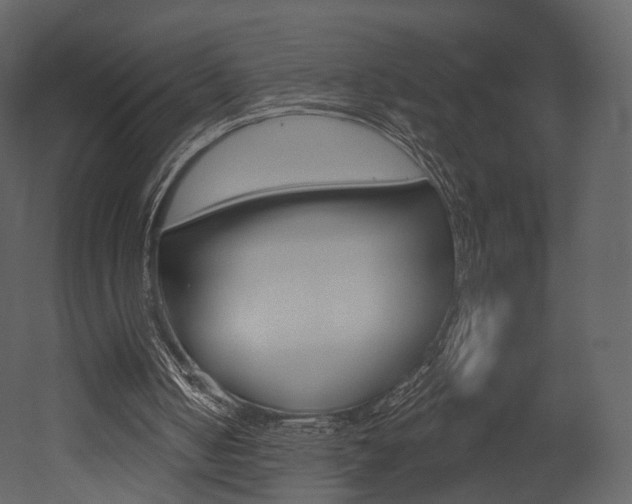 X0000052960050200507080906