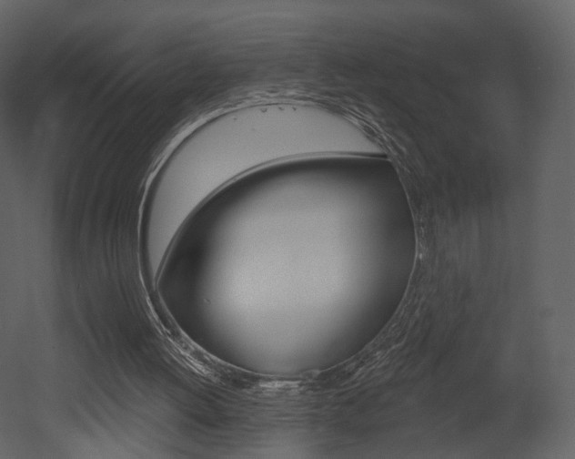 X0000052960052200507080906