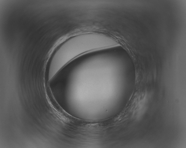 X0000052960054200507080906
