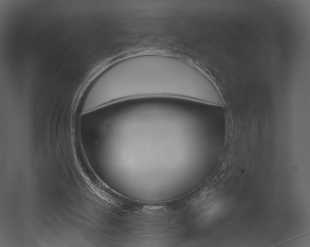 X0000052960055200507080906
