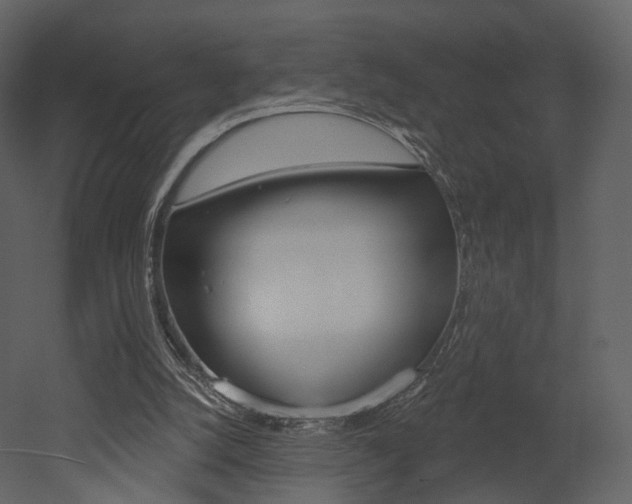 X0000052960056200507080906