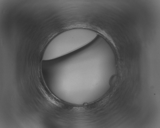 X0000052960057200507080906