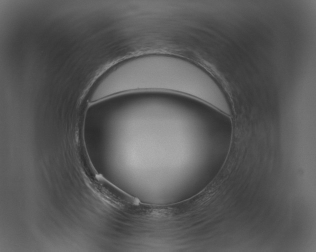 X0000052960060200507080906