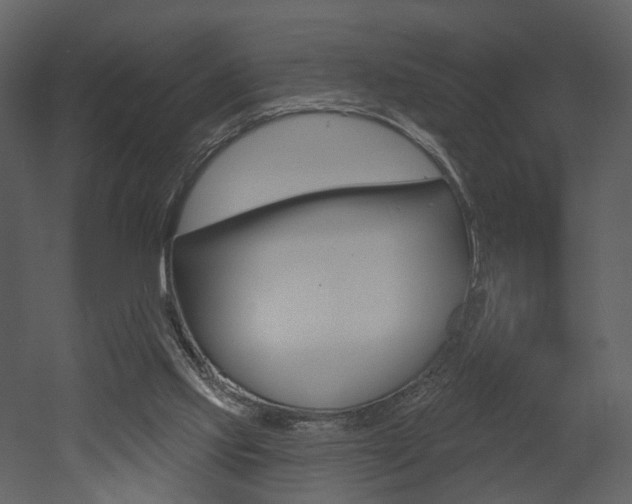 X0000052960061200507080906