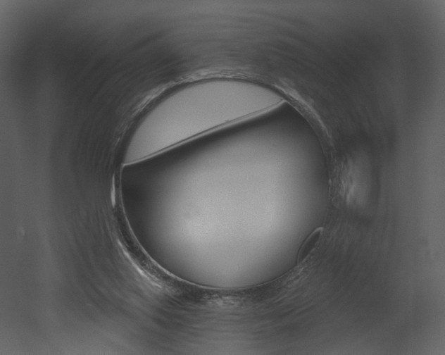X0000052960062200507080906