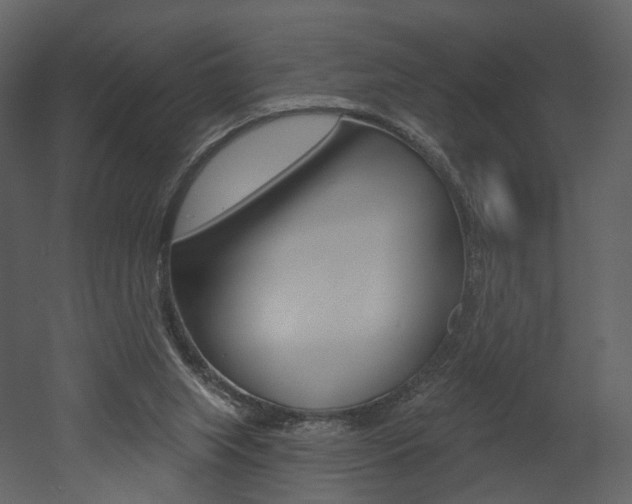 X0000052960063200507080906