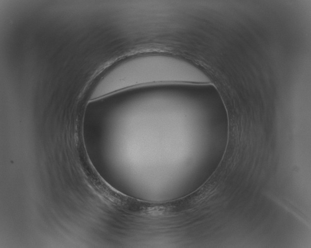 X0000052960064200507080906