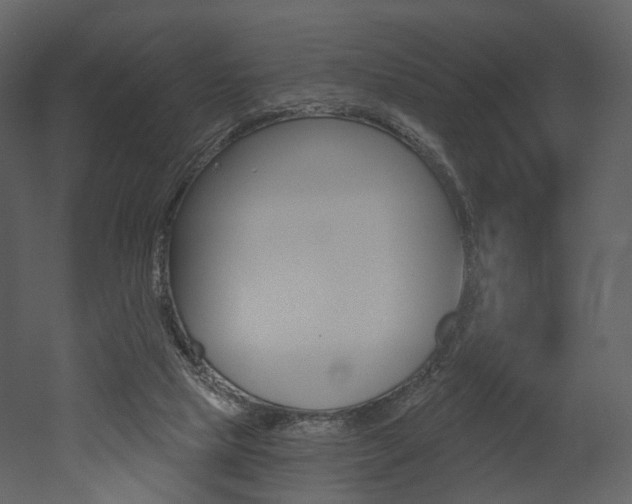 X0000052960065200507080907