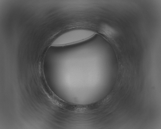 X0000052960066200507080907