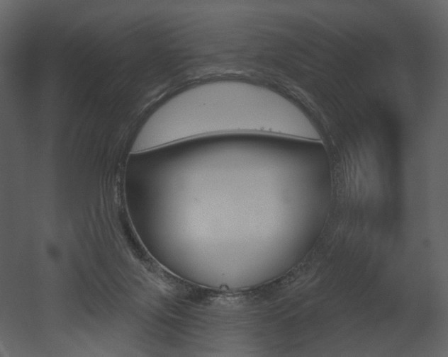 X0000052960071200507080907