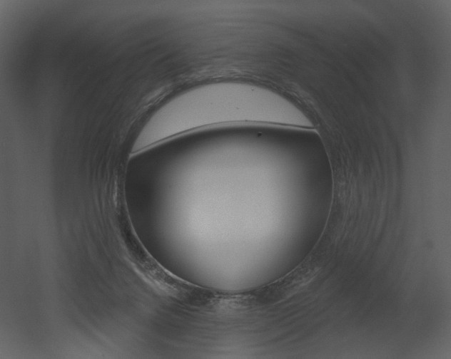 X0000052960072200507080907
