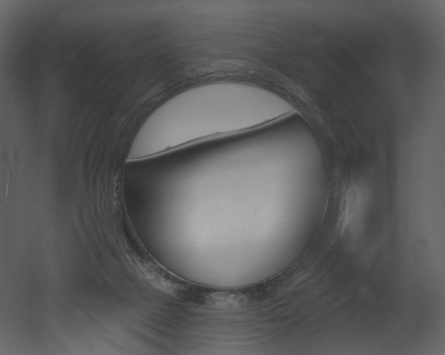 X0000052960073200507080907