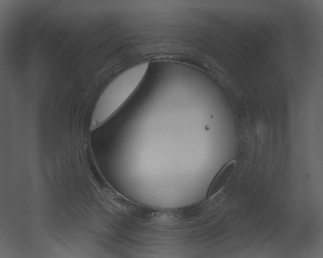 X0000052960074200507080907