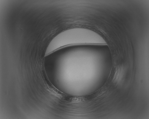 X0000052960077200507080907