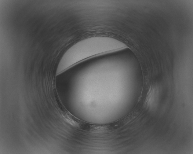 X0000052960081200507080907