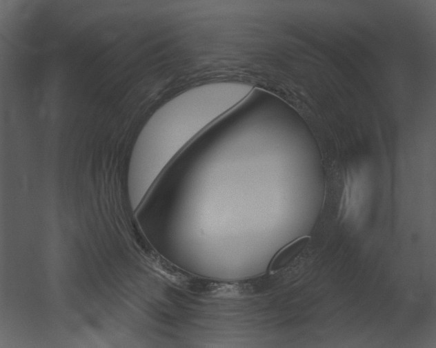 X0000052960083200507080907