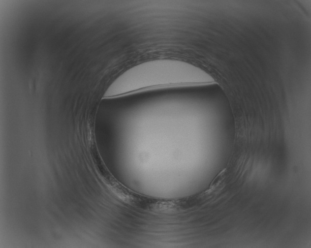 X0000052960086200507080907