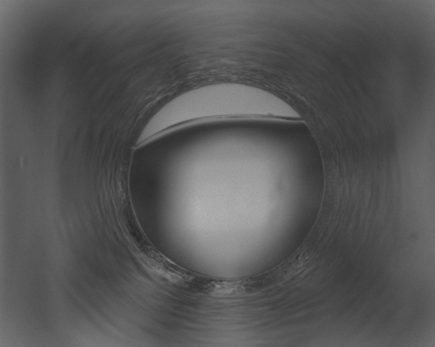 X0000052960088200507080907