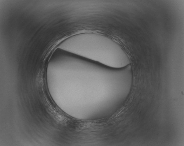 X0000052960098200507080906