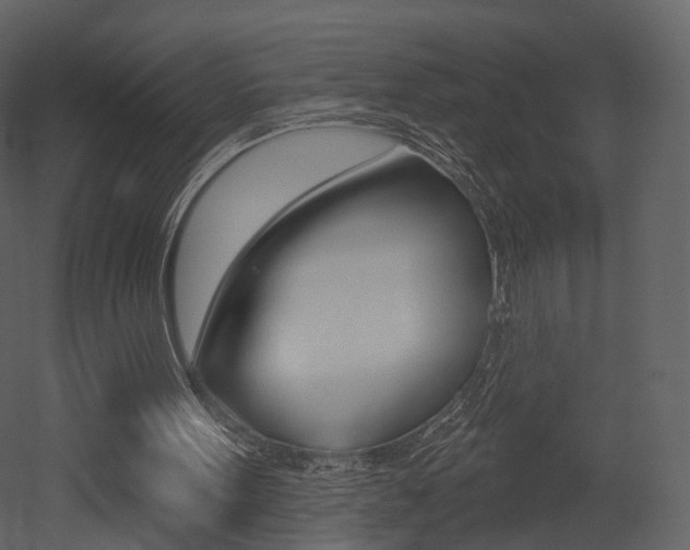 X0000052960099200507080906