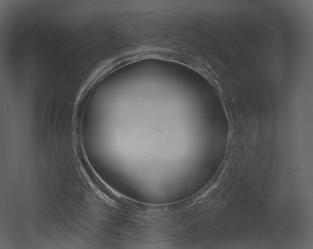 X0000052960101200507080906
