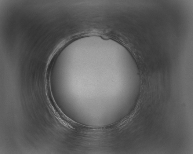X0000052960102200507080906