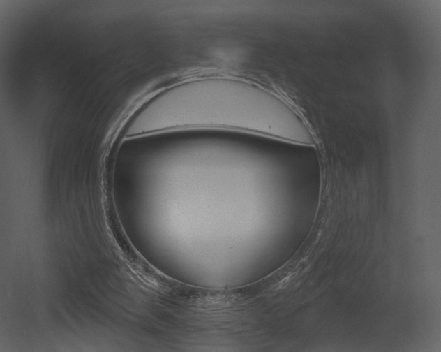 X0000052960103200507080906