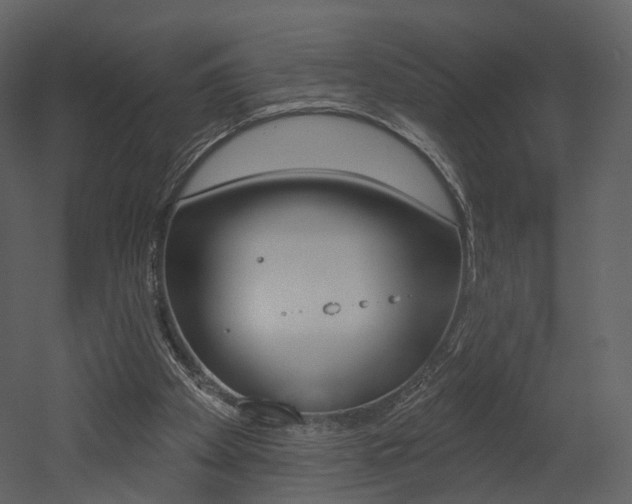 X0000052960105200507080906