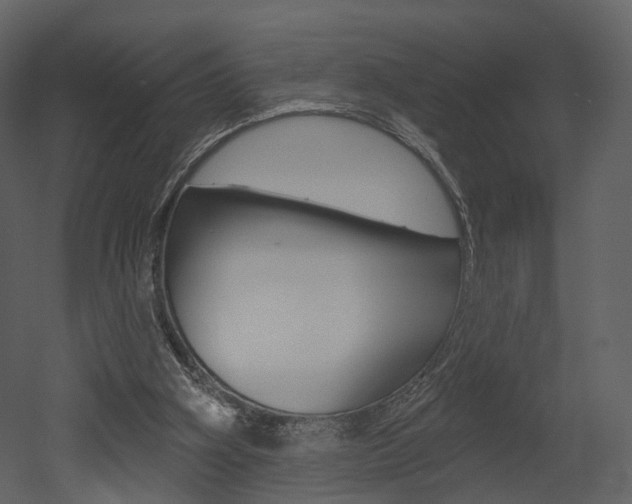 X0000052960106200507080906