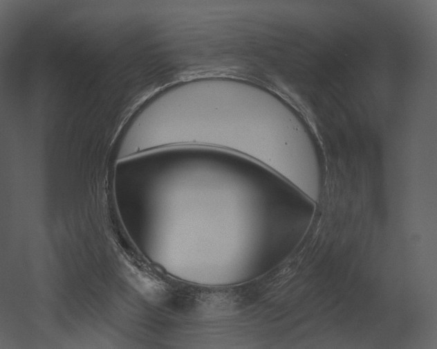 X0000052960107200507080906