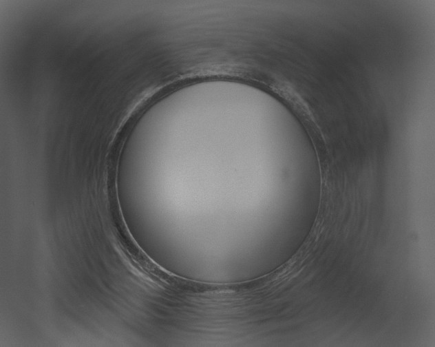 X0000052960108200507080906