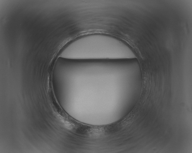 X0000052960110200507080906