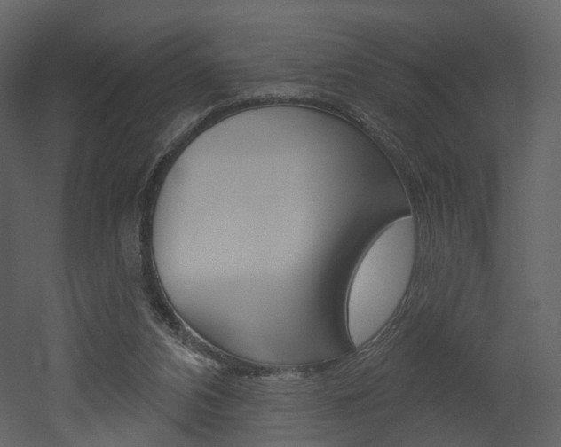 X0000052960112200507080906