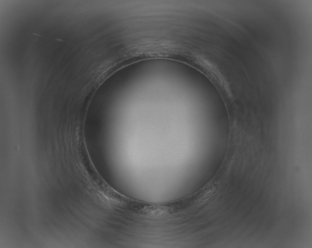 X0000052960113200507080906