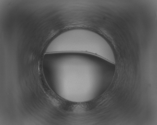 X0000052960115200507080906