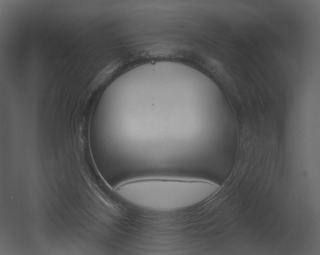 X0000052960116200507080906