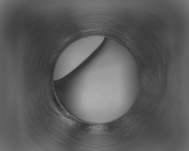 X0000052960118200507080906