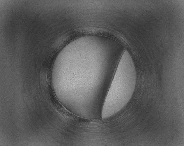 X0000052960119200507080906