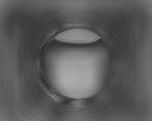 X0000052960120200507080906