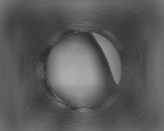 X0000052960121200507080906