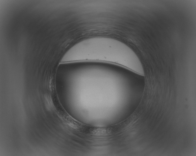 X0000052960123200507080906