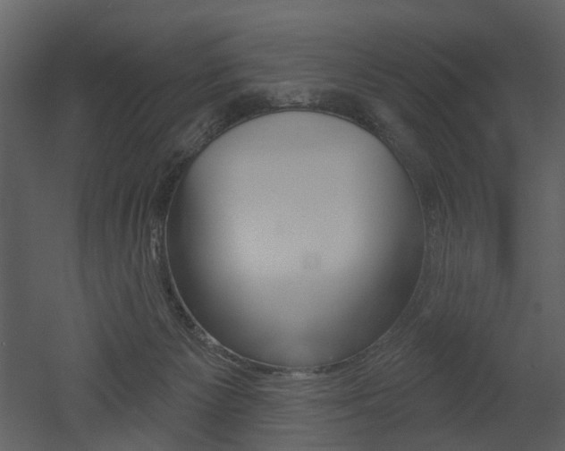 X0000052960125200507080906